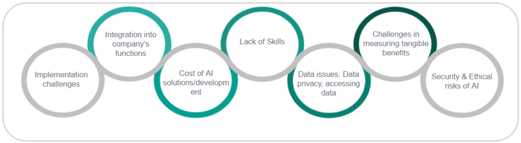 AI Adopters Challenges